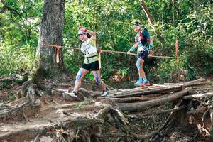 BIB: 
                            <button type="button" onclick="openModal(27554709)" class="btn btn-primary btn-sm float-right btn-popup" data-toggle="modal" data-target=".modal-high-quality">
                        <i class="fas fa-shopping-cart"></i> Add to Cart
                    </button>
                                            <button type="button" onclick="isThisMe(27554709, true)" class="btn btn-success btn-sm float-right btn-popup btn-isme hidden" data-toggle="tooltip" data-placement="bottom" title="นี่คือรูปของคุณใช่ไหม คลิกที่นี่เพื่อเอาเข้าอัลบั้ม">
                        <i class="fas fa-plus"></i> Add to album
                    </button>
                    <button type="button" onclick="isThisMe(27554709, false)" class="btn btn-warning btn-sm float-right btn-popup btn-isnotme hidden">
                        <i class="fas fa-ban"></i> Remove from album
                    </button>